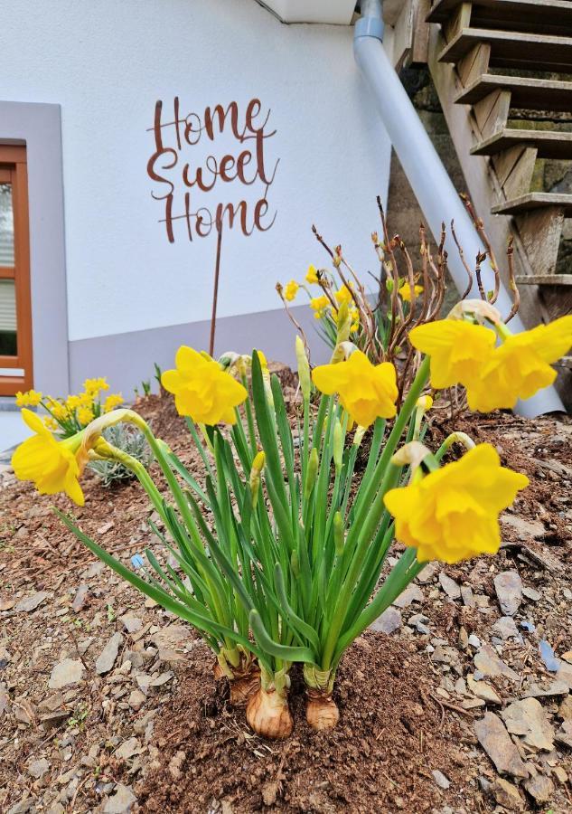 Daffodils Villa Enscherange Kültér fotó